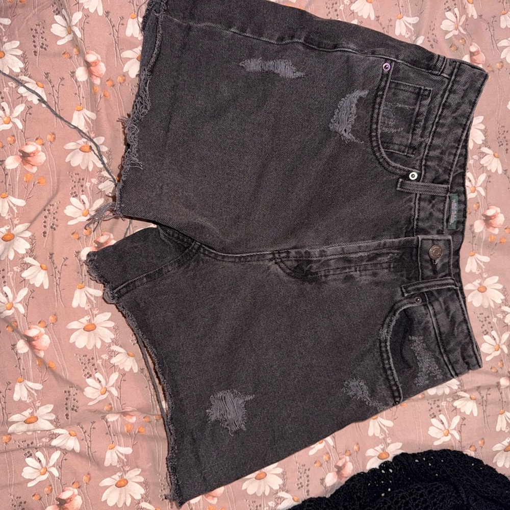 Wild Fable Black High Waist Women Shorts